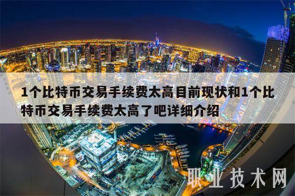 1个比特币交易手续费太高目前现状和1个比特币交易手续费太高了吧详细介绍-第1张图片-交易所